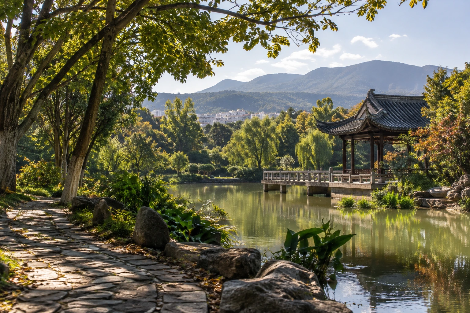 Tree-lined paths in Baoshan