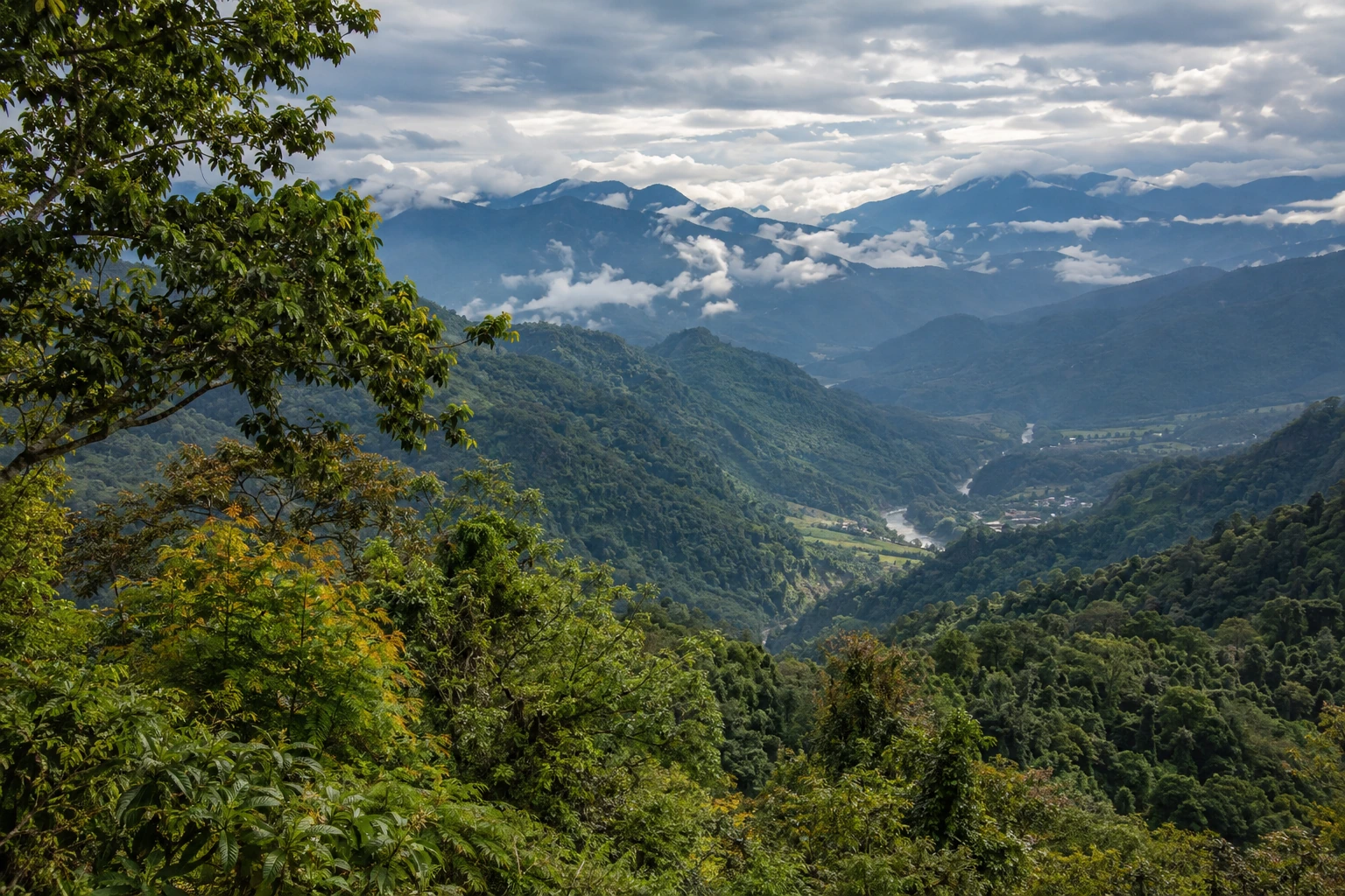 Forested Gaoligong foothills in western Yunnan