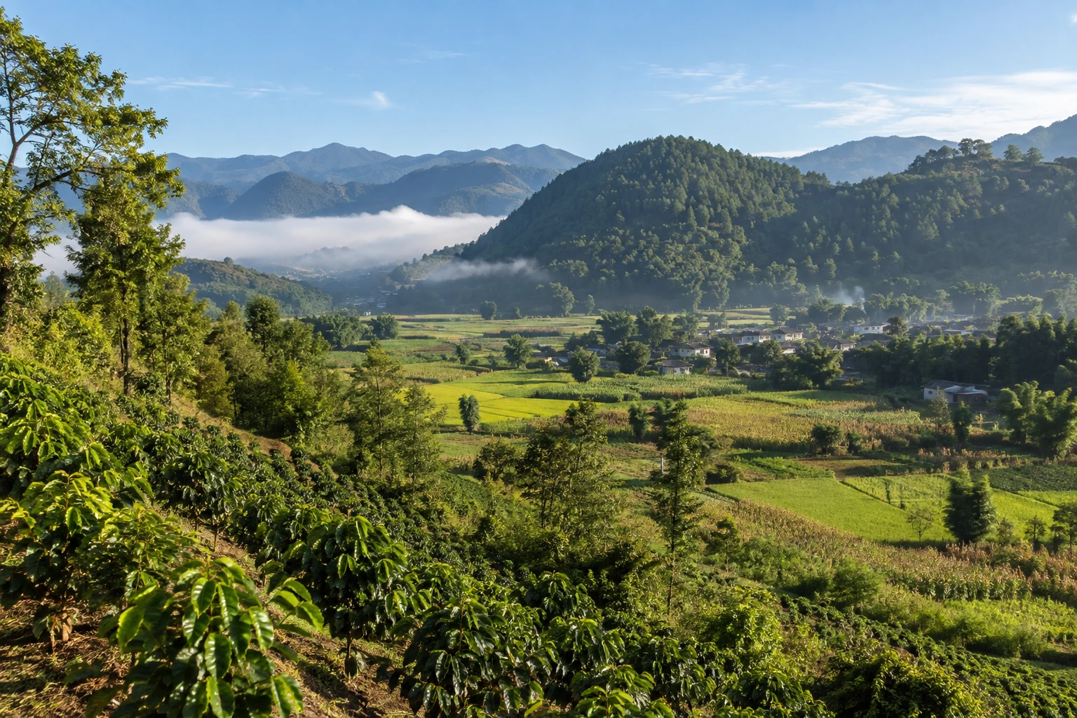 Green countryside near Tengchong