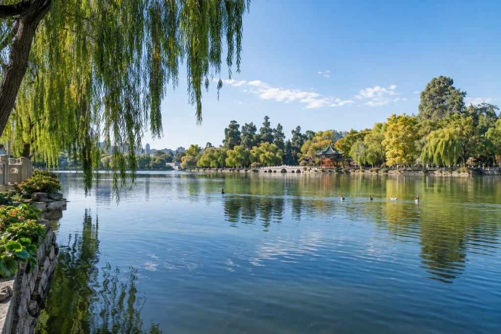 Willows and water beside Green Lake in Kunming