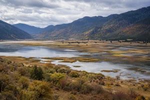 Seasonal wetland and grassland at Napa Lake