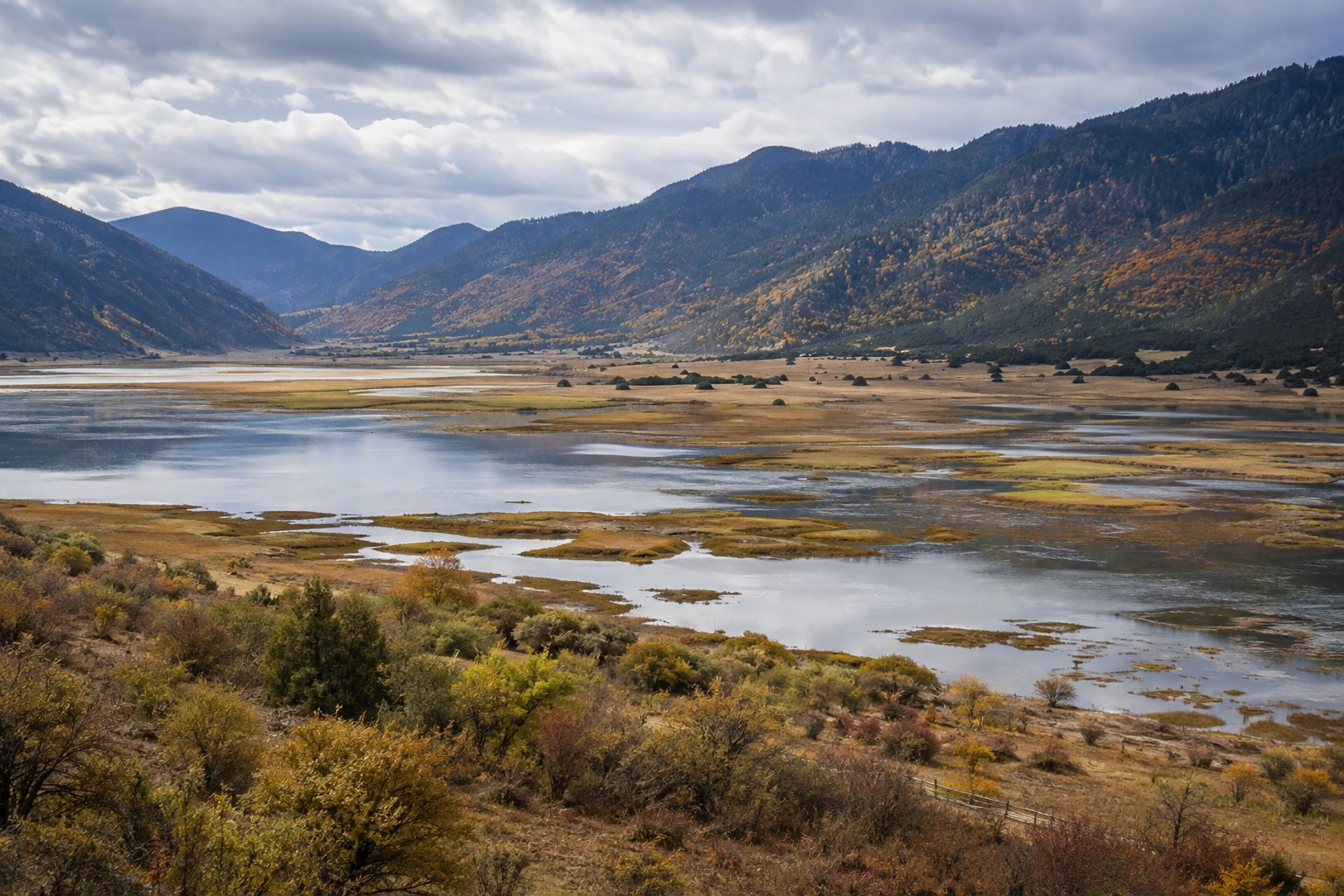 Seasonal wetland and grassland at Napa Lake