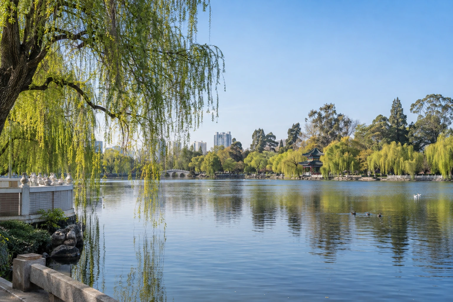 Willows and water beside Green Lake in Kunming