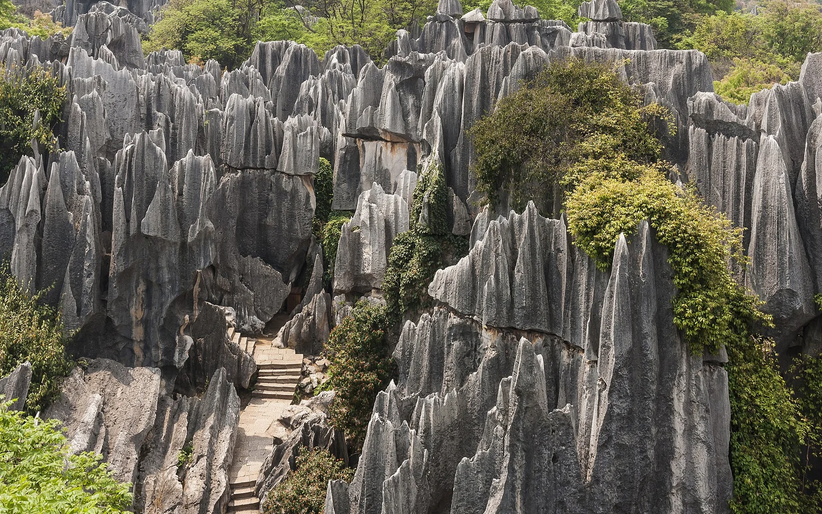 Shilin Stone Forest limestone formations