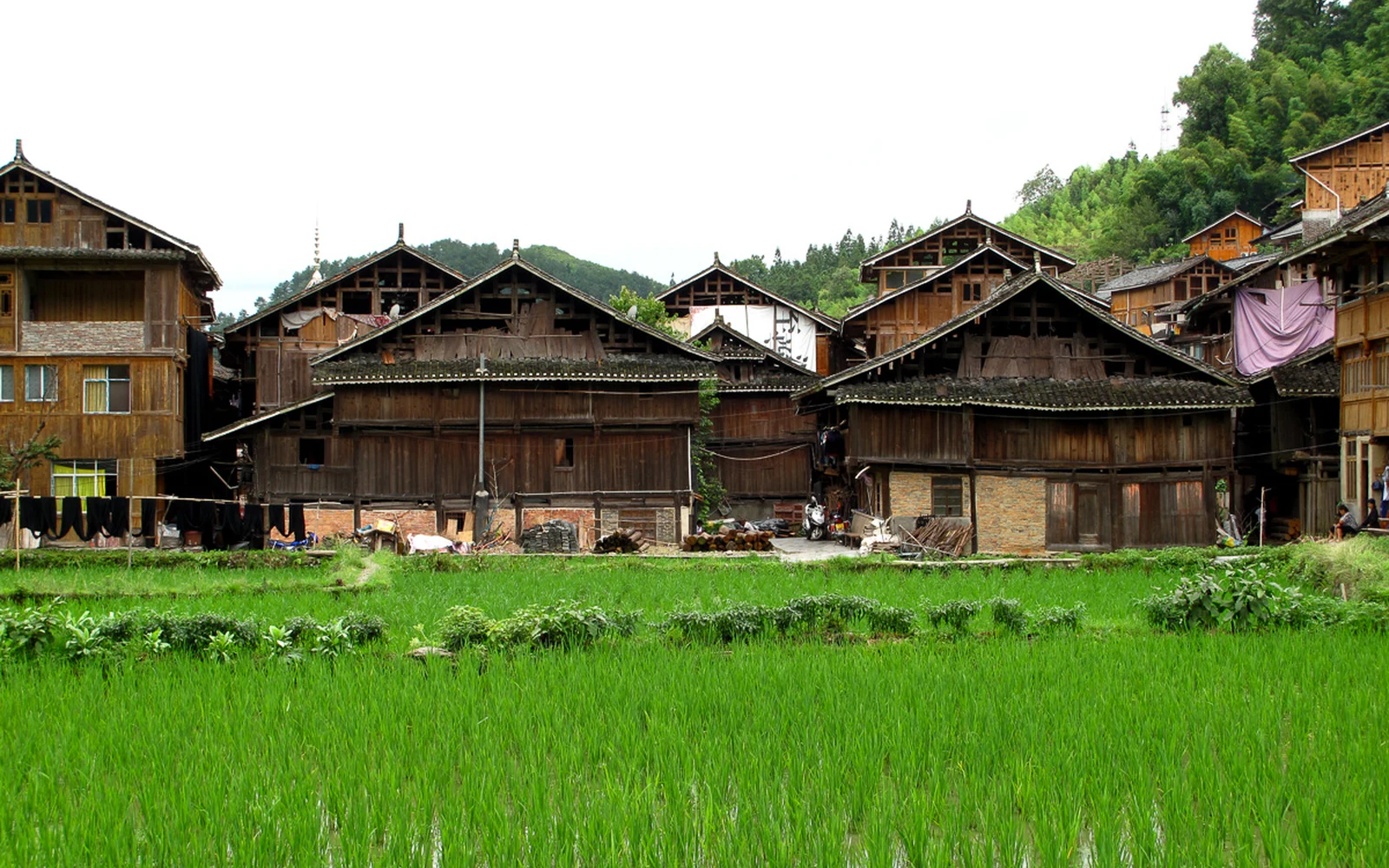 Buildings in Zhaoxing Dong village