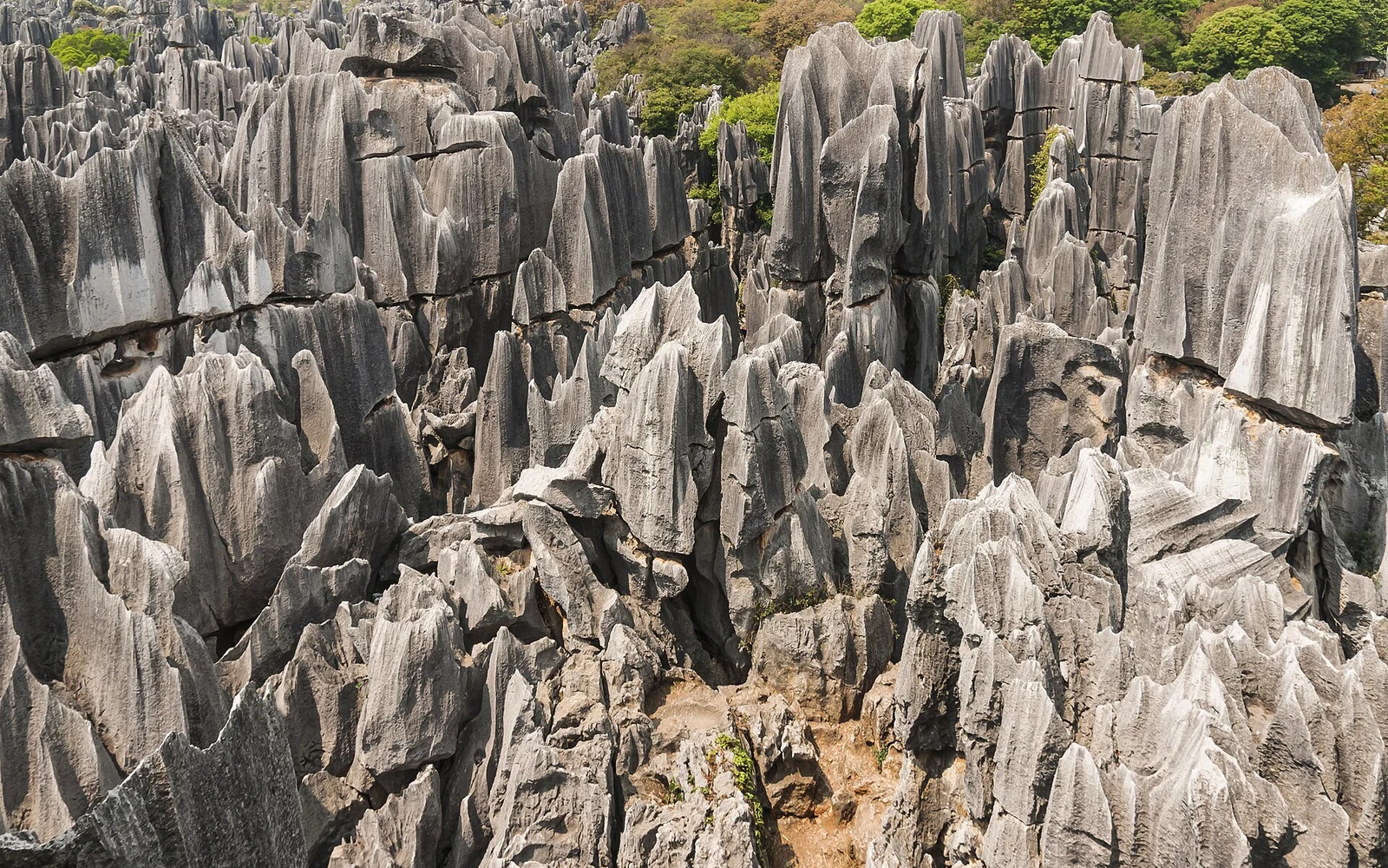 Limestone pillars in the Shilin Stone Forest