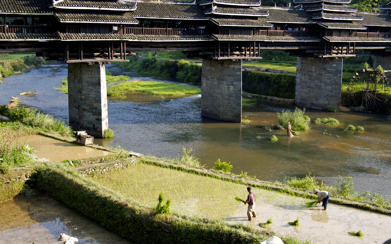 Chengyang wind-and-rain bridge in Guangxi