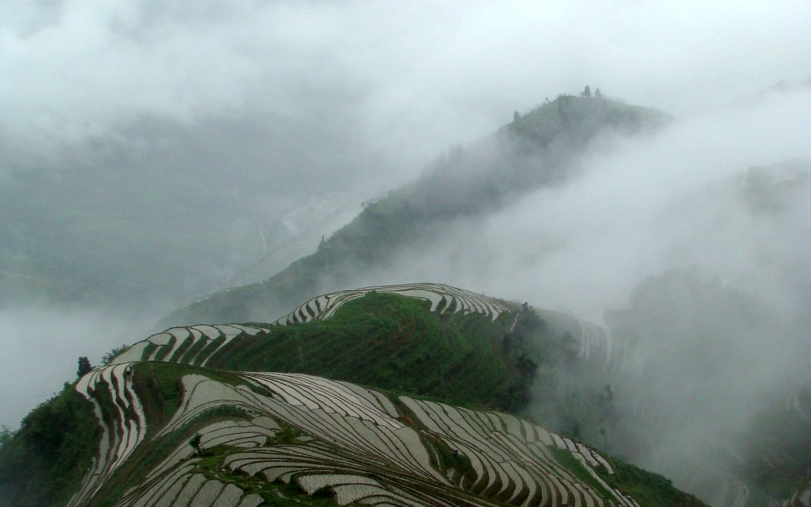 Longji Rice Terraces in Guangxi