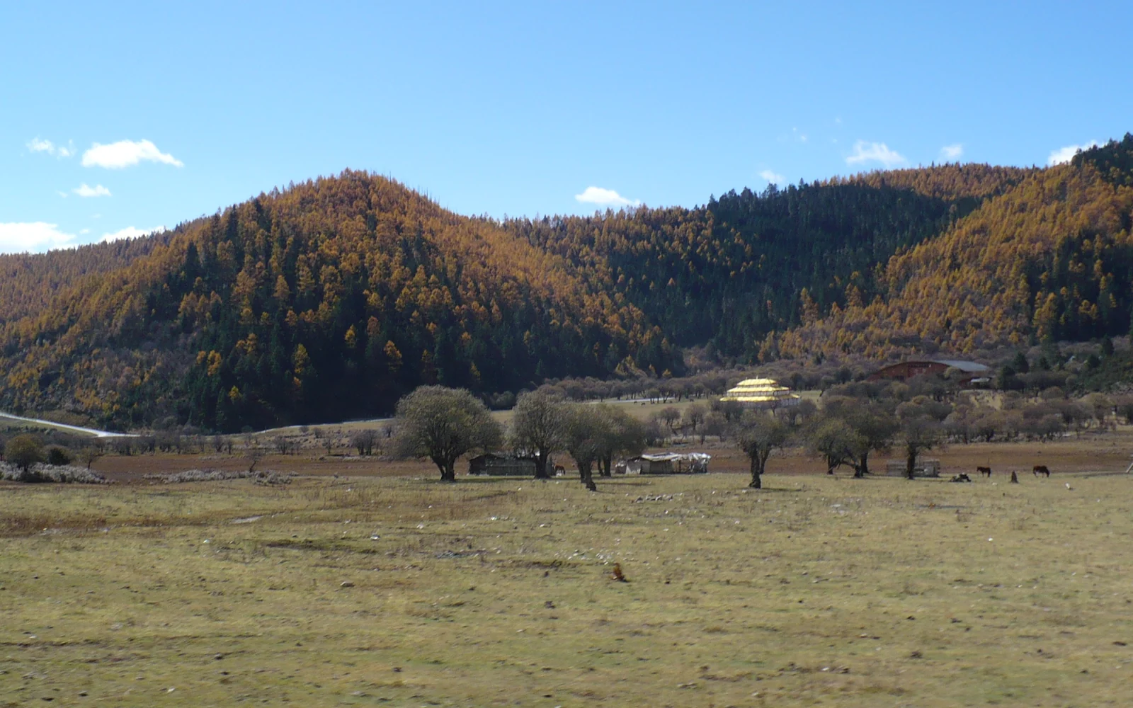 Meadow scenery in Pudacuo National Park