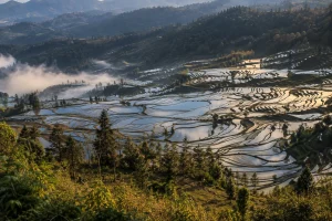 Dawn reflections in the Duoyishu rice terraces