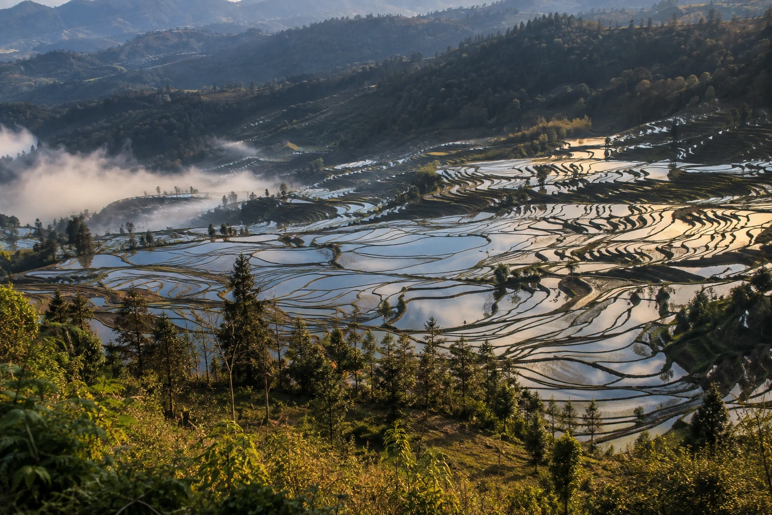 Dawn reflections in the Duoyishu rice terraces