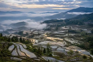 5-Day Yuanyang Photography Tour from Kunming