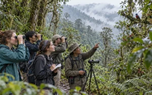 6-Day Gaoligong Mountains & Tengchong Natural Science Study Tour