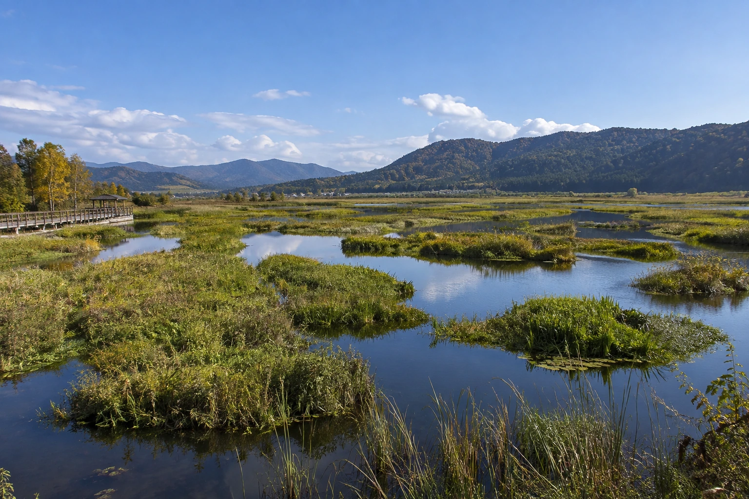 Reeds and open water at Beihai Wetland near Tengchong
