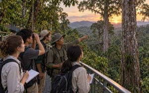 6-Day Xishuangbanna Biodiversity & Dai Medicine Study Tour