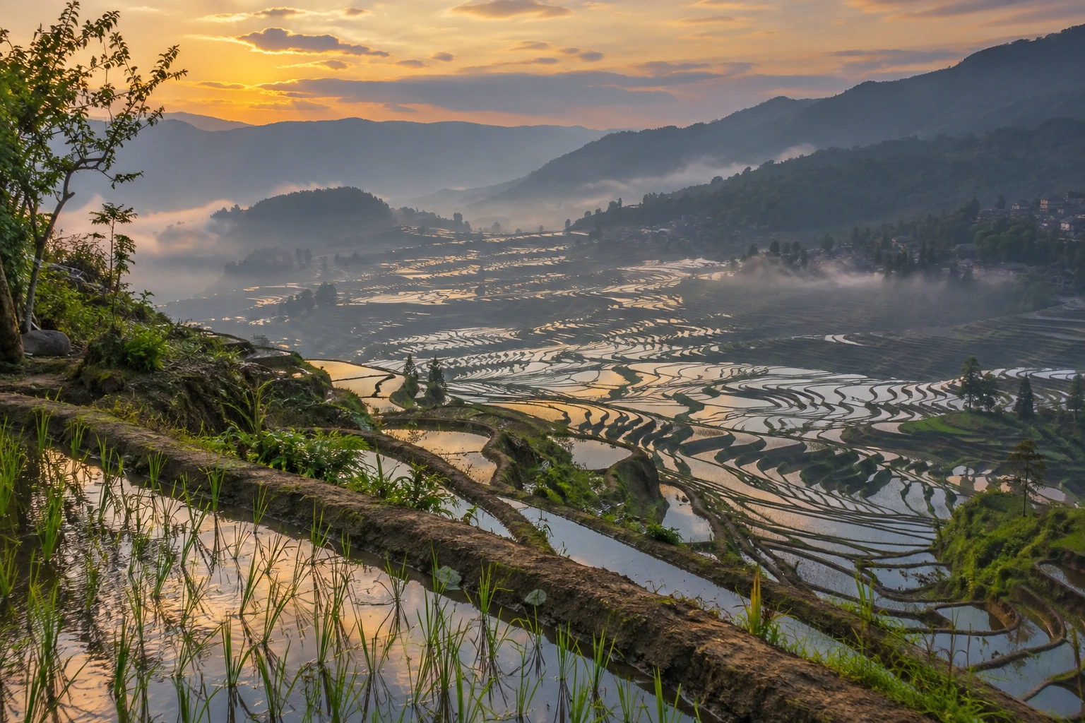 Dawn reflections in the Duoyishu rice terraces