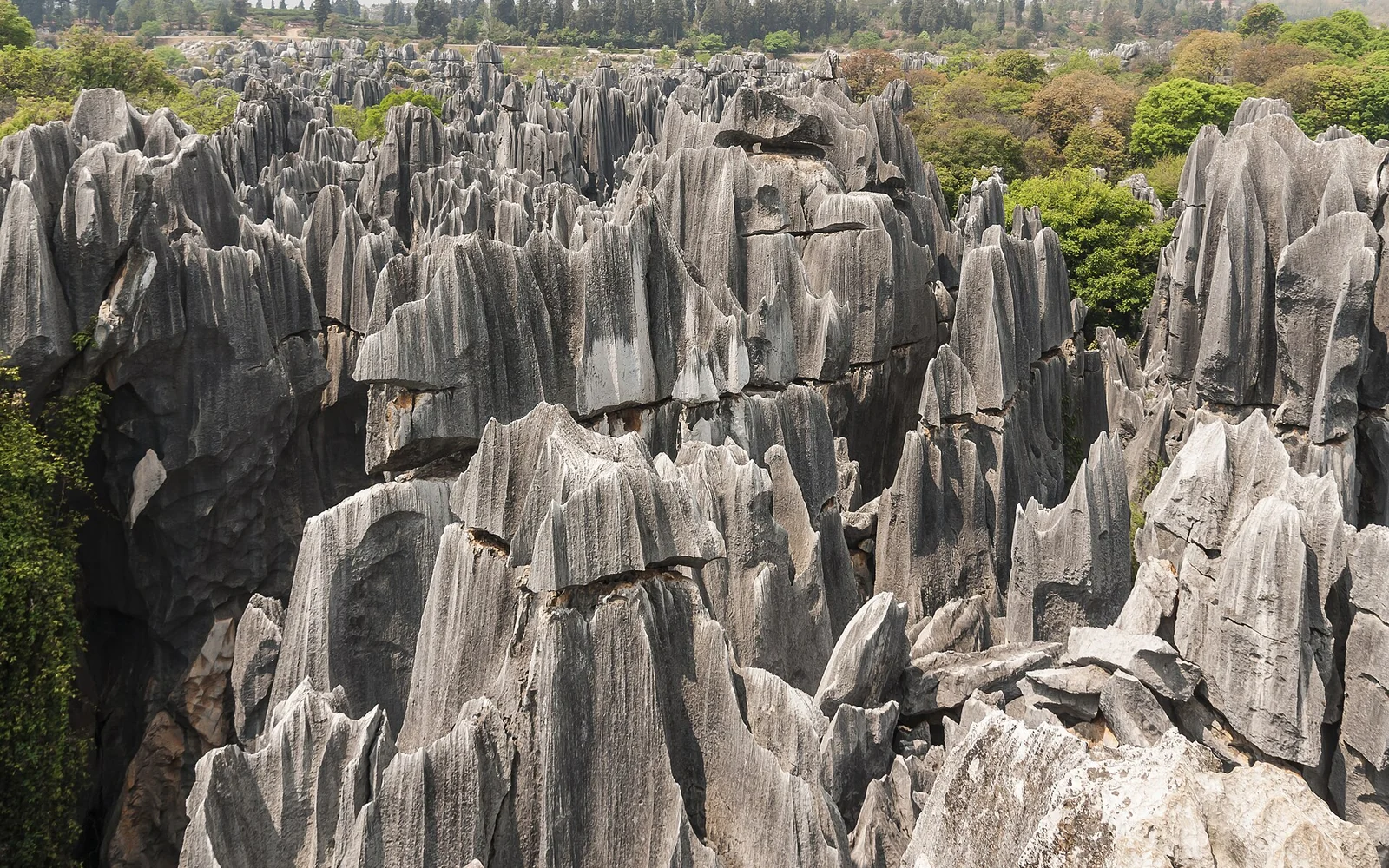 Limestone landscape of the Stone Forest