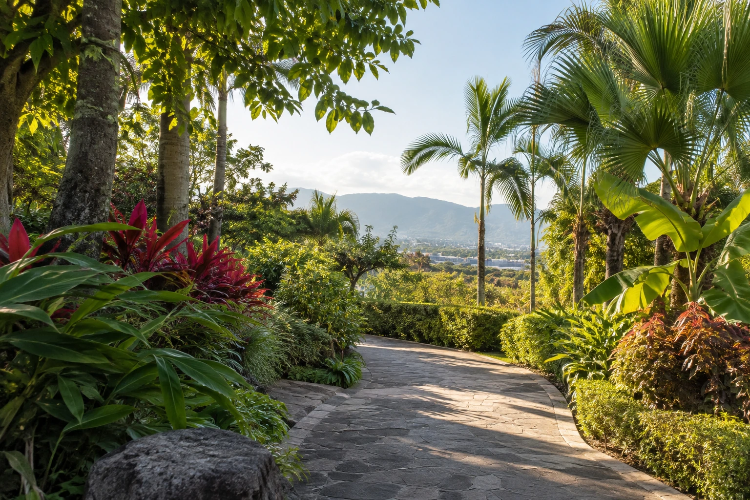 Tropical garden foliage in Mangshi