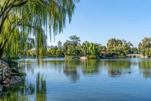 8-Day Luoping & Yuanyang Seasonal Photography Tour