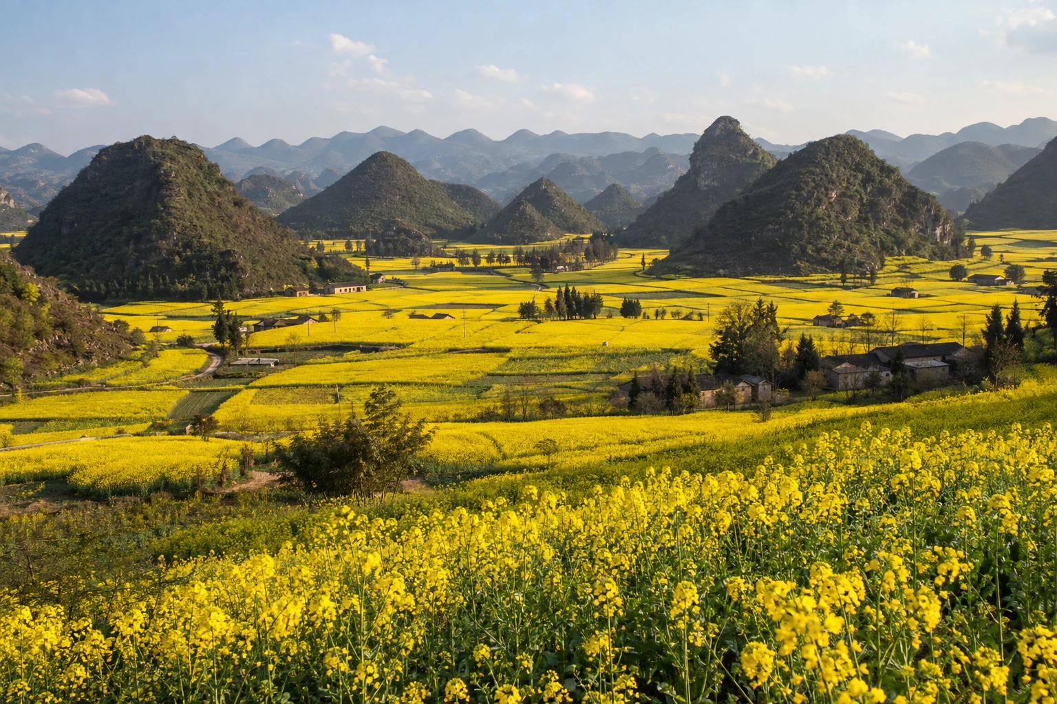 Seasonal rapeseed fields and karst hills in Luoping