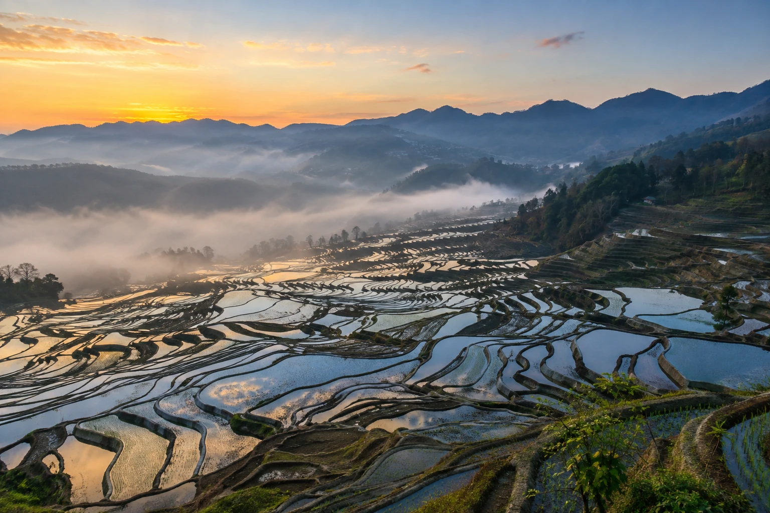 Dawn reflections in the Duoyishu rice terraces