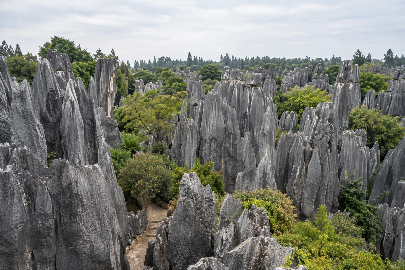 Limestone pinnacles in the Stone Forest near Kunming