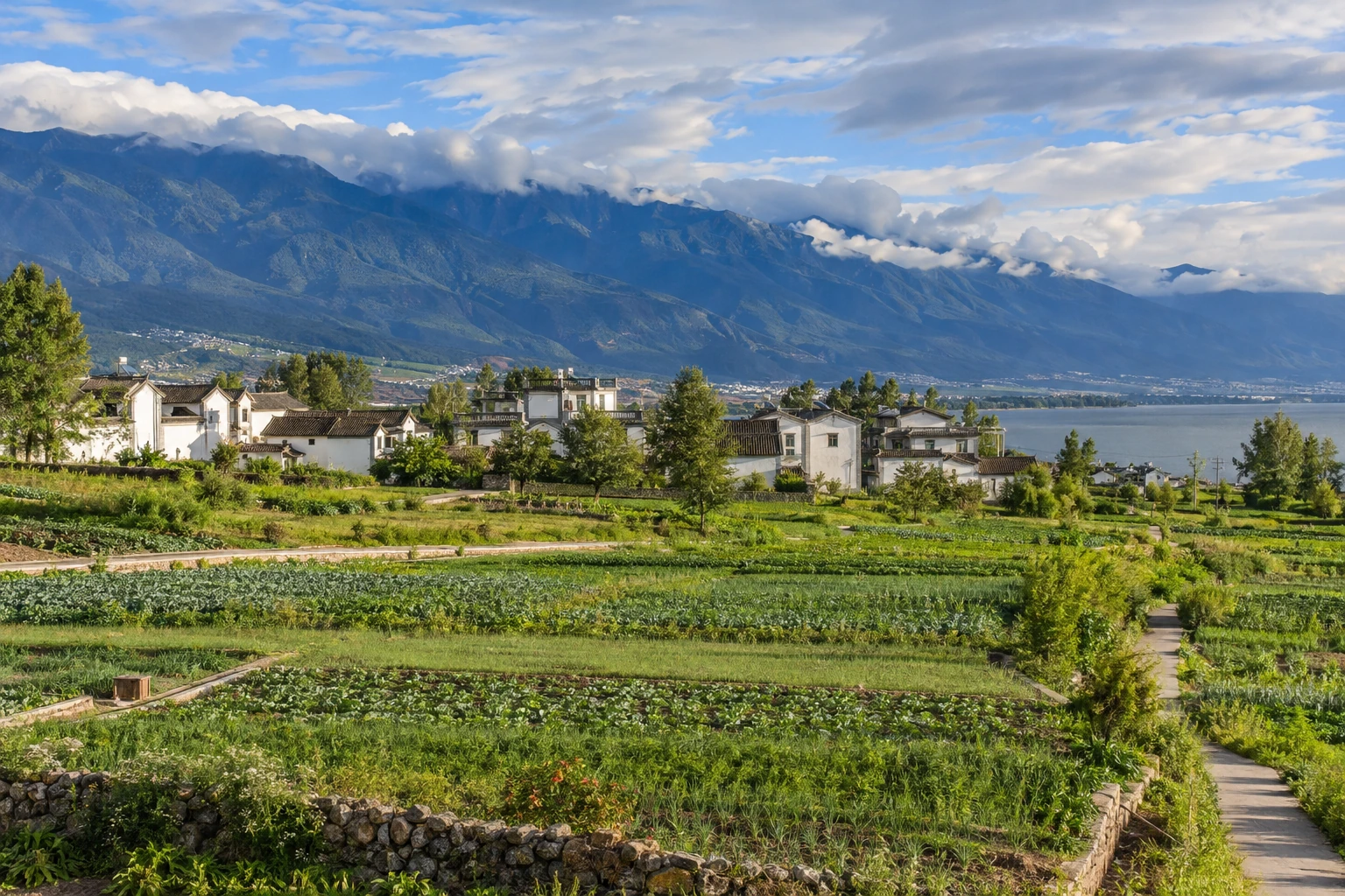Seasonal farmland around Xizhou