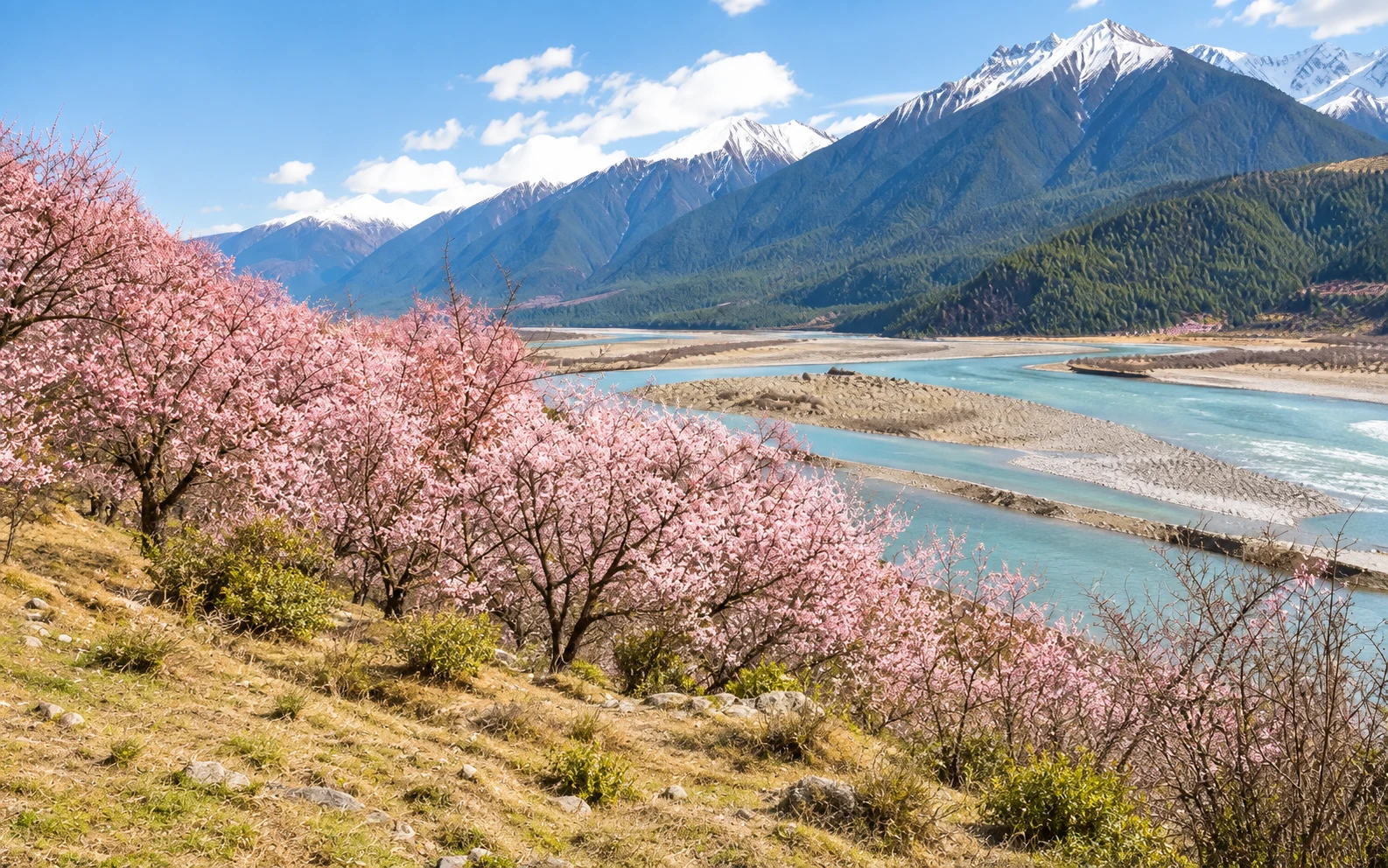 AI scenic illustration for Bomi to Nyingchi via Lulang and Sejila Pass — 12-Day Chengdu to Lhasa G318 Overland Group Tour via Daocheng Yading