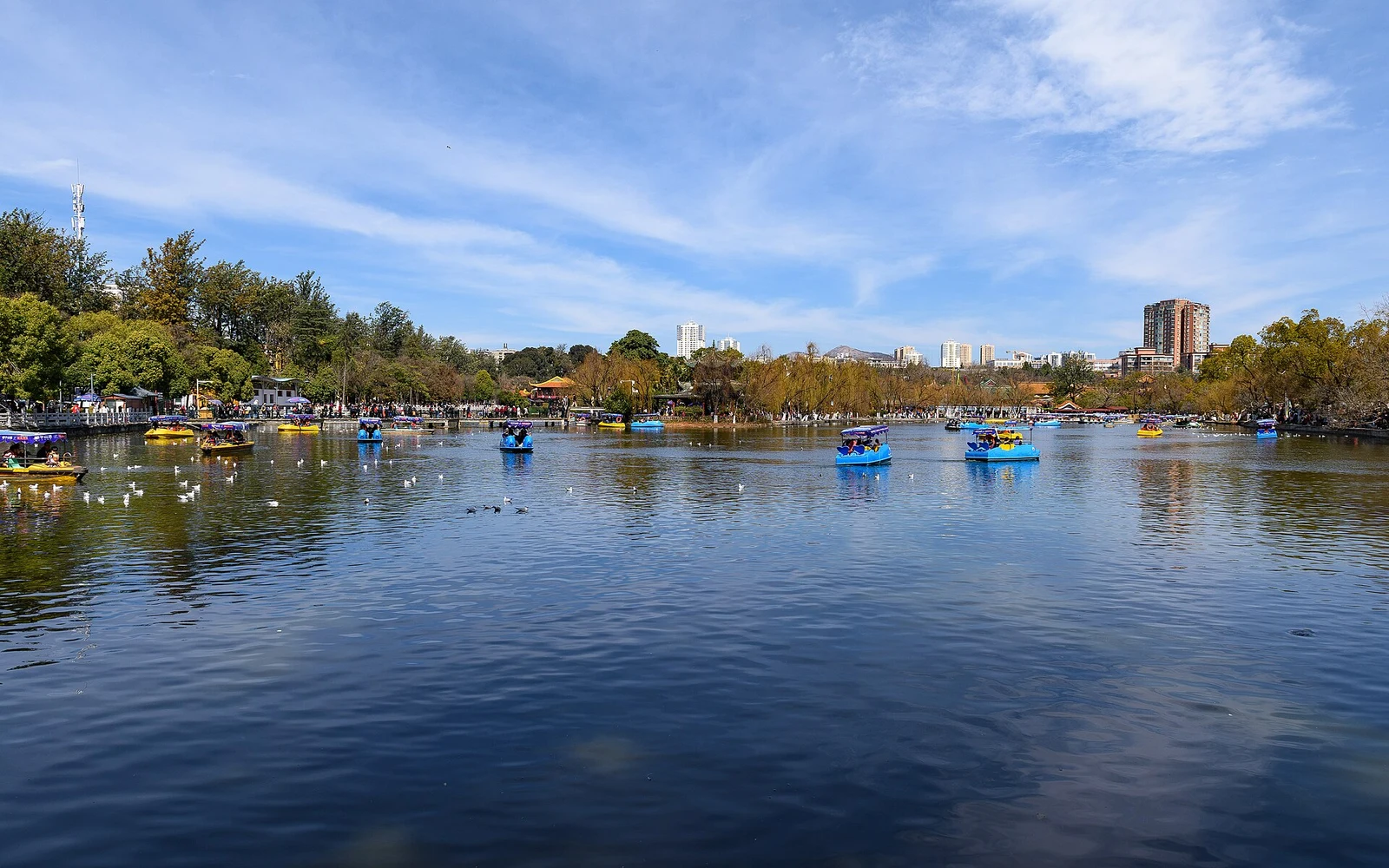 Open water and tree-lined banks in Green Lake Park