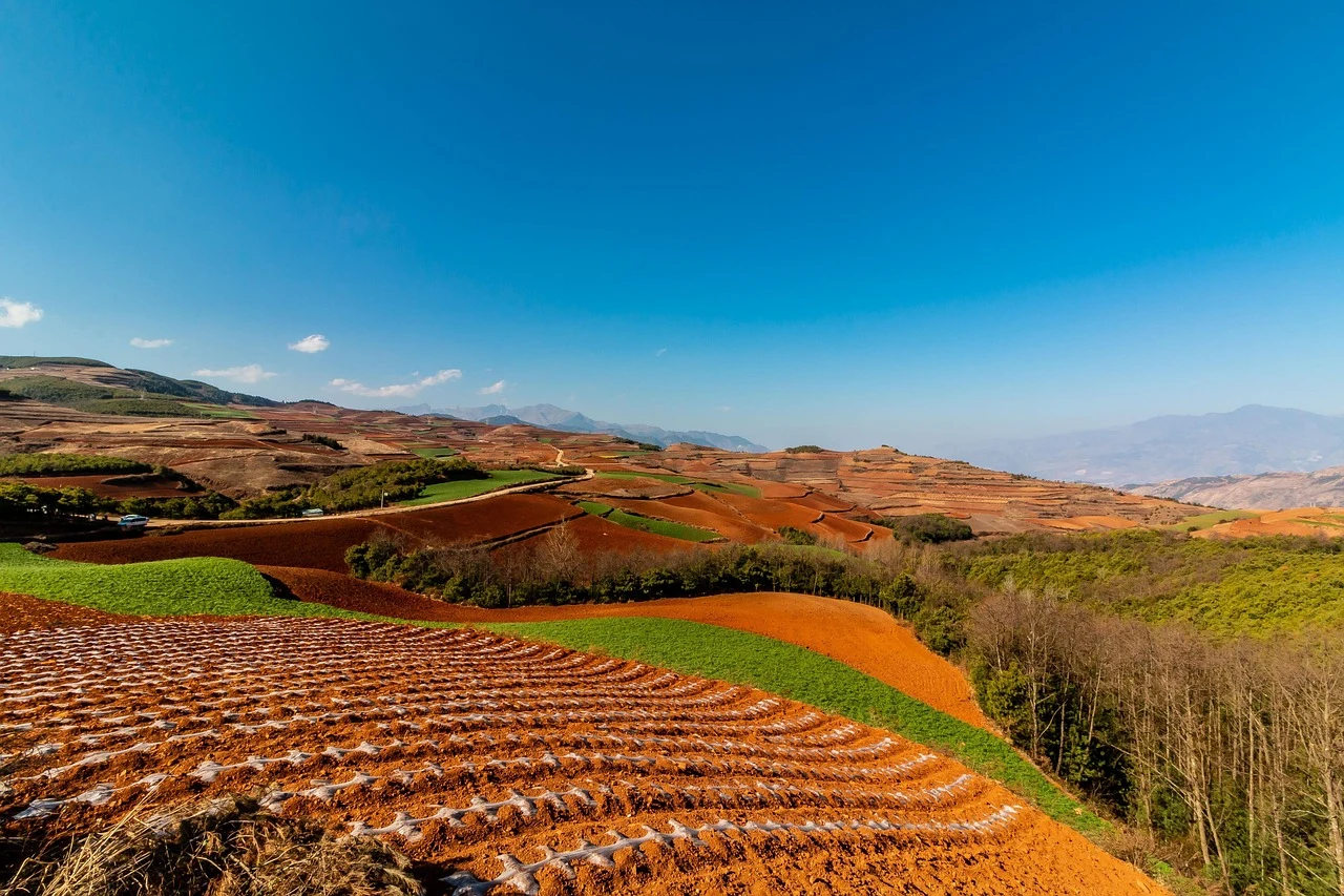 Red earth, green crops and curved farm plots beneath a blue sky in Dongchuan