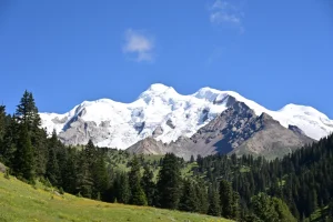 Forest and mountain scenery on the Genyen route