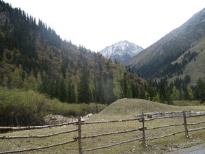 A wooded mountain valley in Heishui County