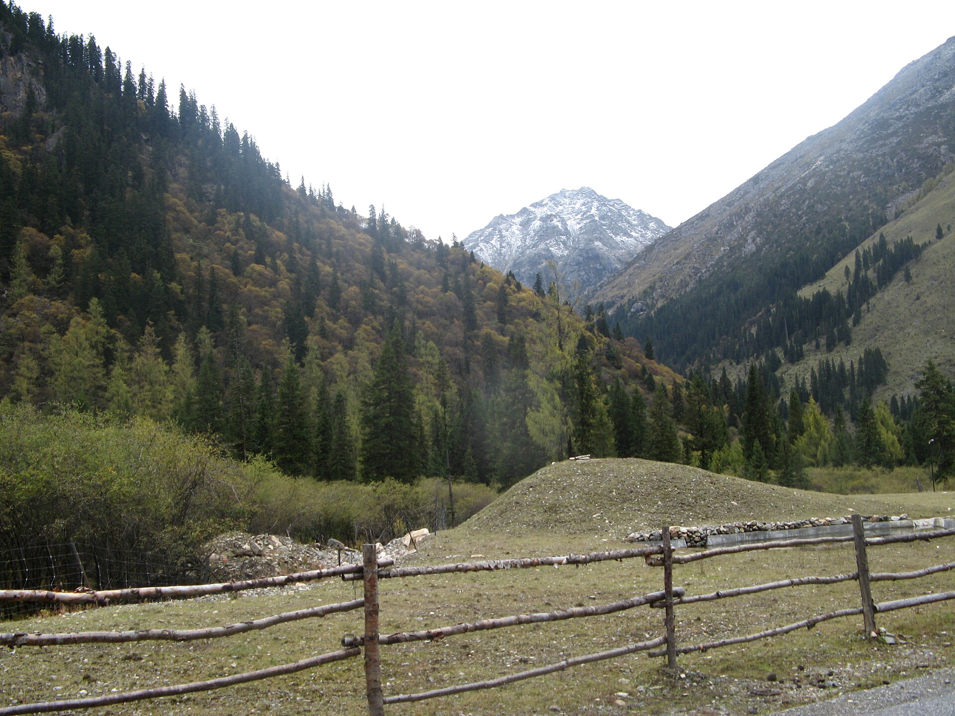 A wooded mountain valley in Heishui County