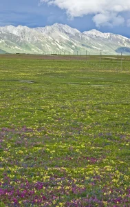 Highland landscape near Litang