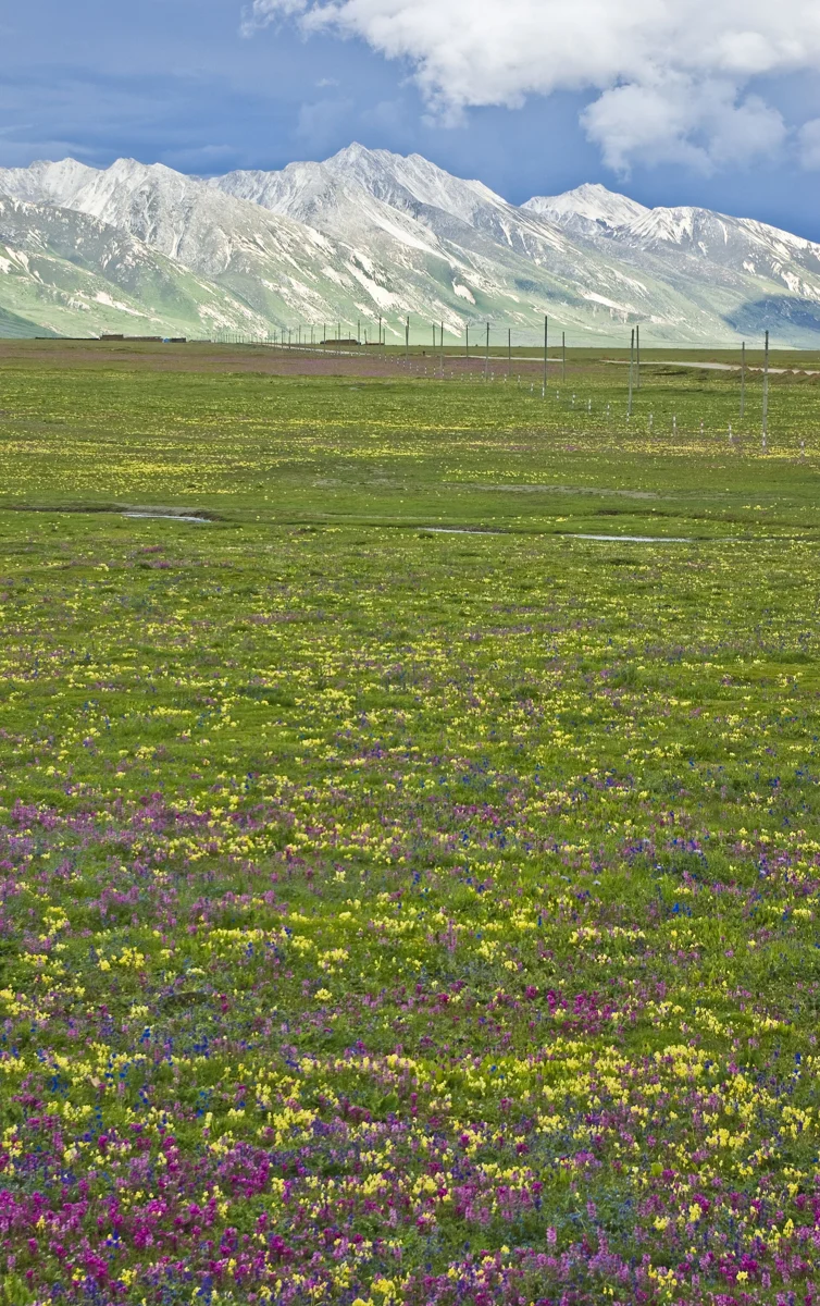 Highland landscape near Litang