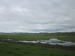 Grassland in Hongyuan County