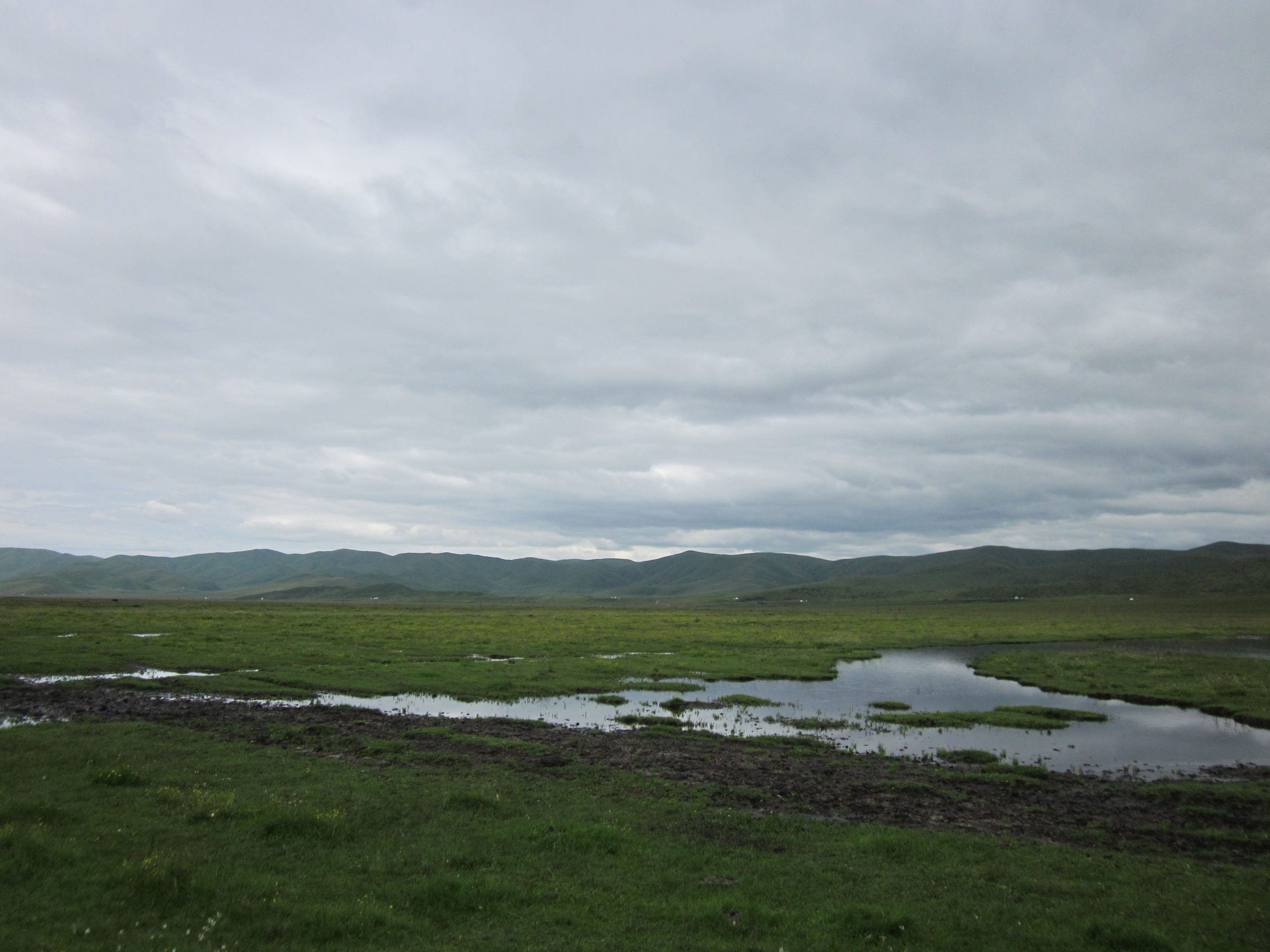 Grassland in Hongyuan County