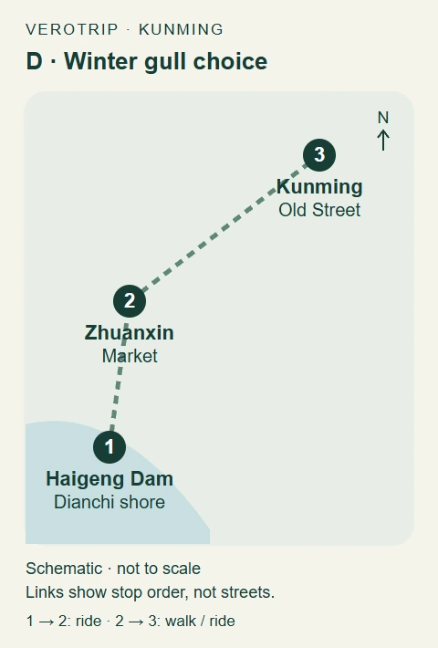 Route D schematic: Haigeng Dam Dianchi shore → Zhuanxin Market → Kunming Old Street