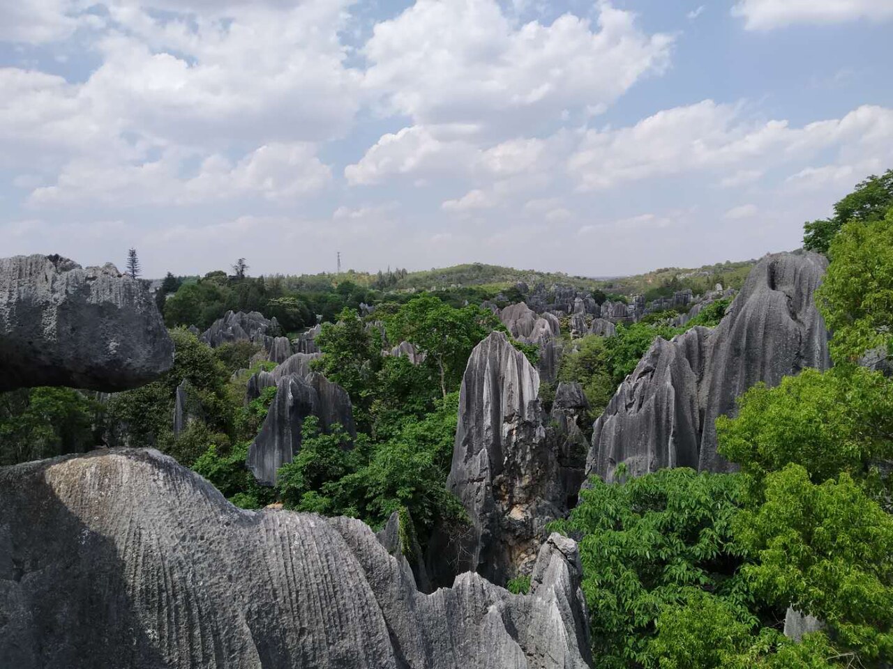Limestone formations in the Stone Forest near Kunming