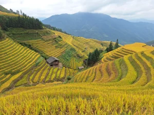 Hunan, Guizhou and Guangxi: A 13-Day Road Trip