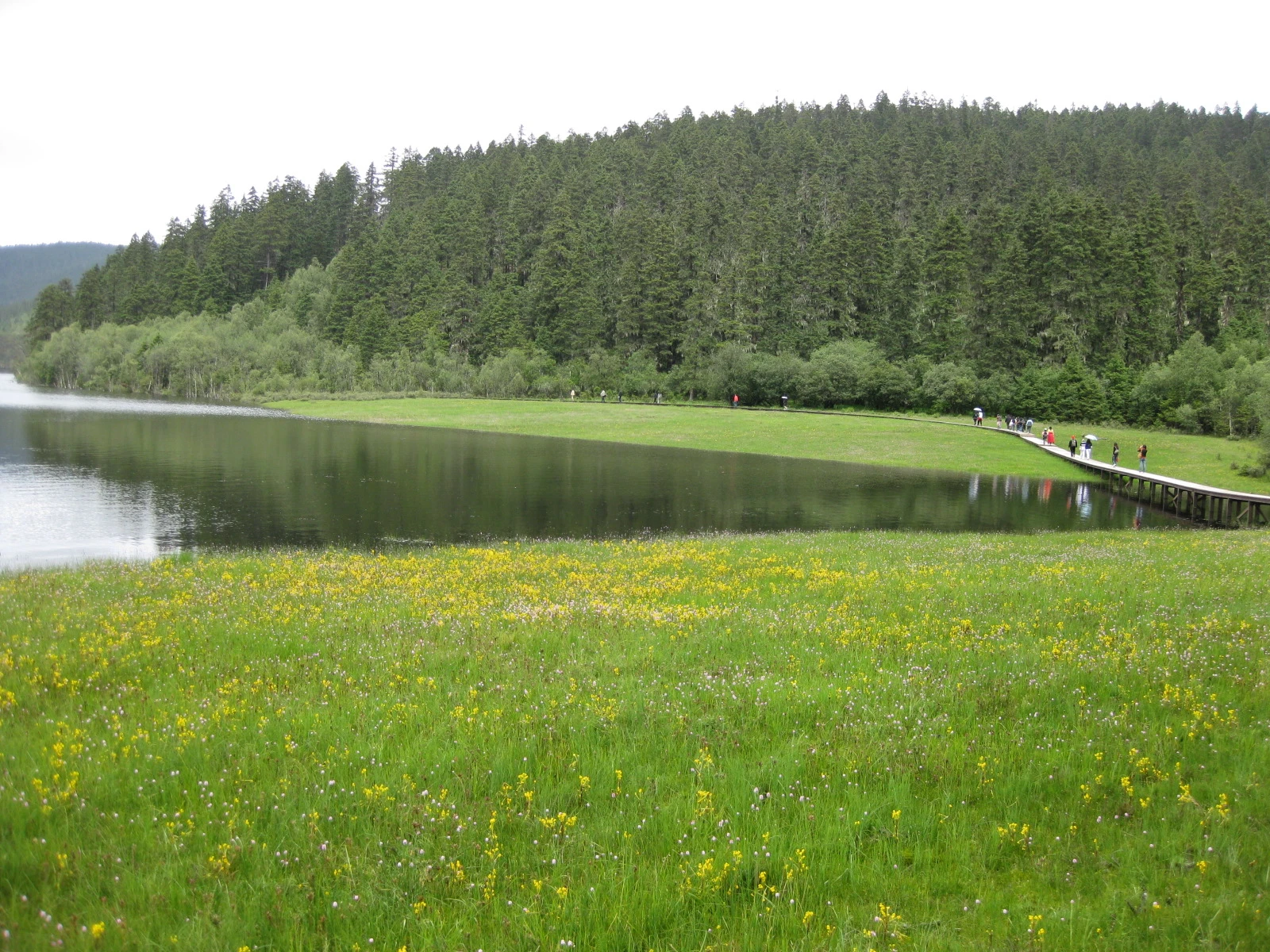 Shudu Lake beside green meadow and forested hills