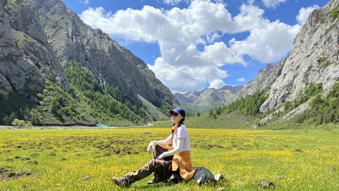 A summer meadow on the Qizanggou mountain route