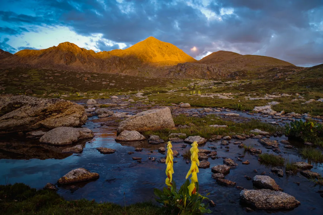 Early light across the Southern Shaluli mountain landscape