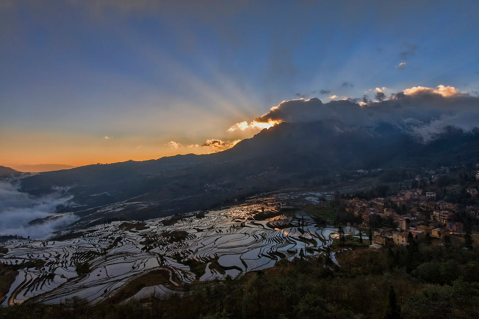 Water-filled Duoyishu rice terraces reflecting dawn light in Yuanyang