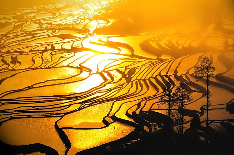 Sunlight reflected in rice terraces near Qingkou in Yuanyang